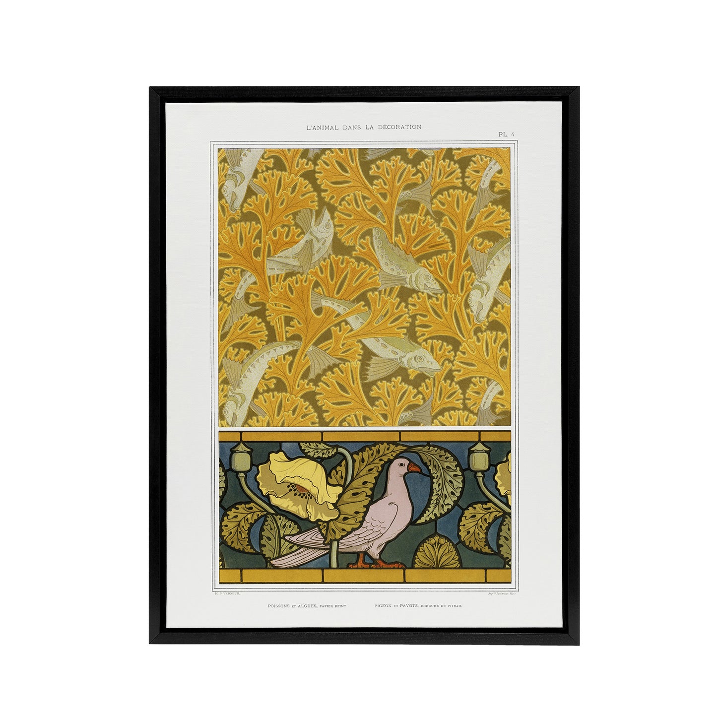 Poppy Pigeon Coral Fish Patterns Framed Canvas Wall Art Print Verneuil