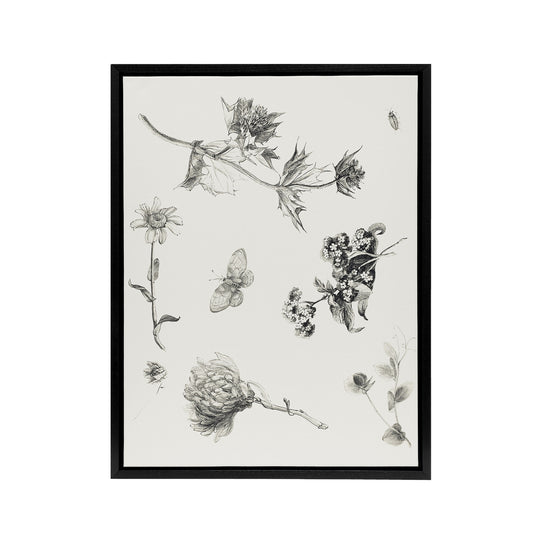 Flowers Leaves Butterfly Drawing Framed Canvas Wall Art Print Hoytema