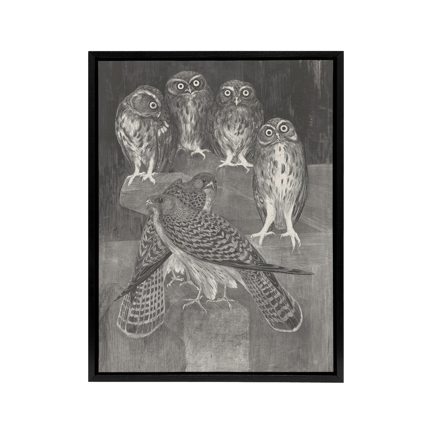 Four Owls and Two Kestrels Framed Canvas Wall Art Print van Hoytema