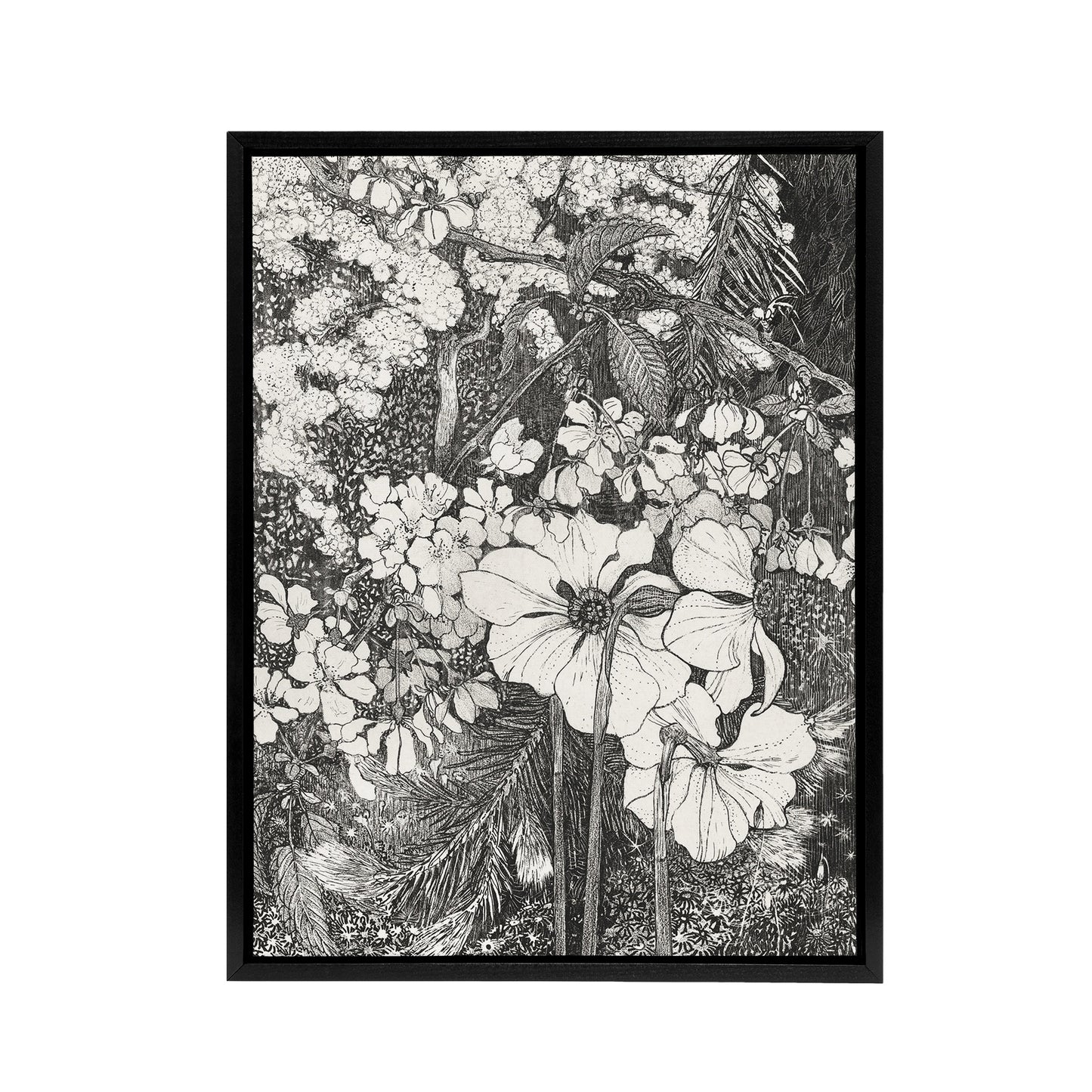 Spring Flowers Black and White Framed Canvas Wall Art Print van Hoytema