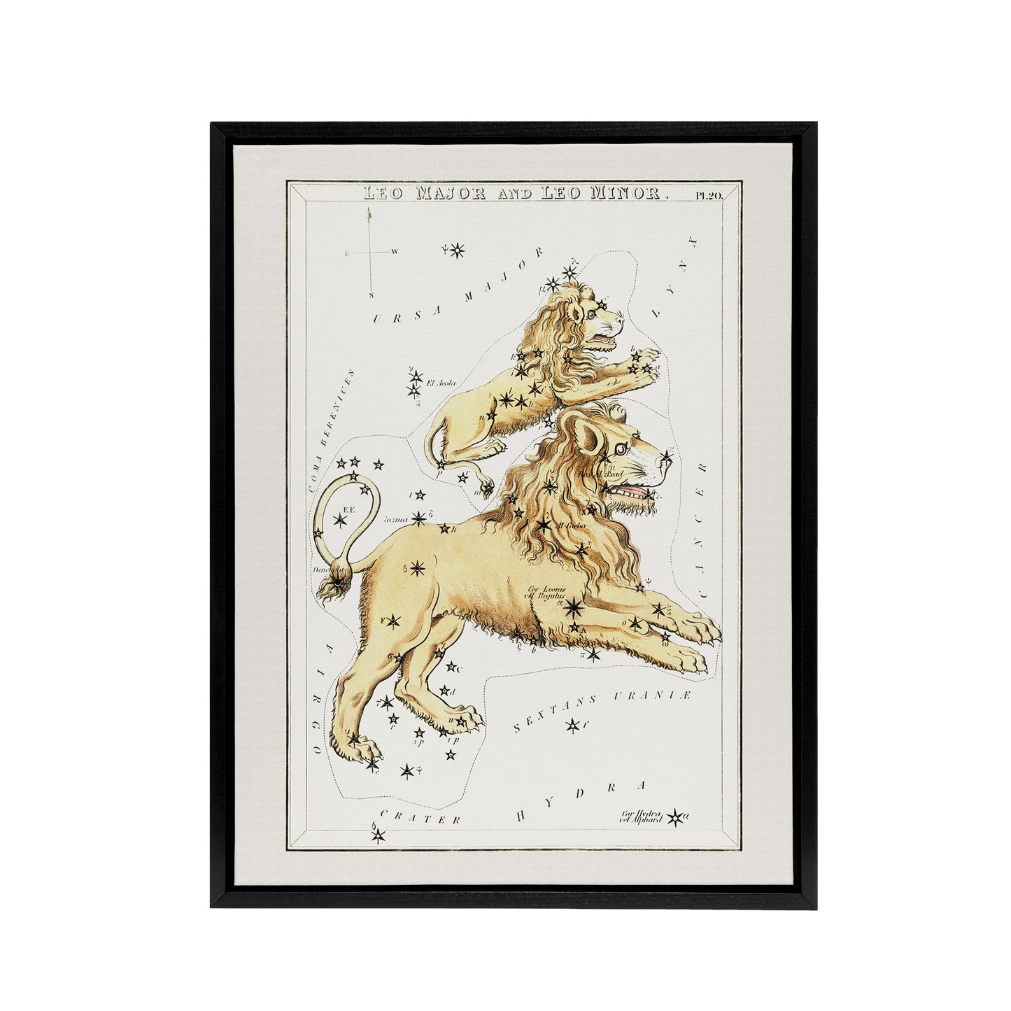 Vintage Leo Constellation Illustration Hall Framed Canvas Wall Art Print