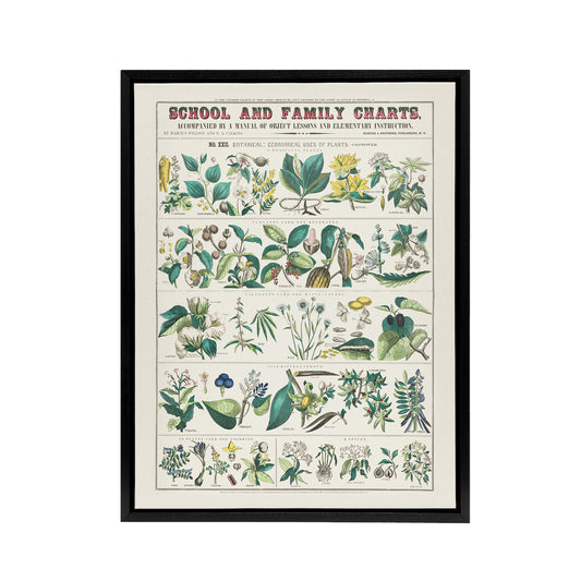 School and family charts No XXII Calkins Framed Canvas Wall Art Print