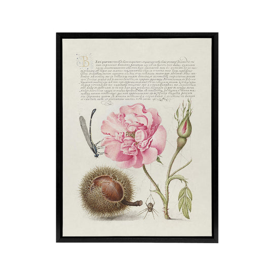 Damselfly Rose Chestnut Spider Calligraphy Framed Canvas Wall Art Print