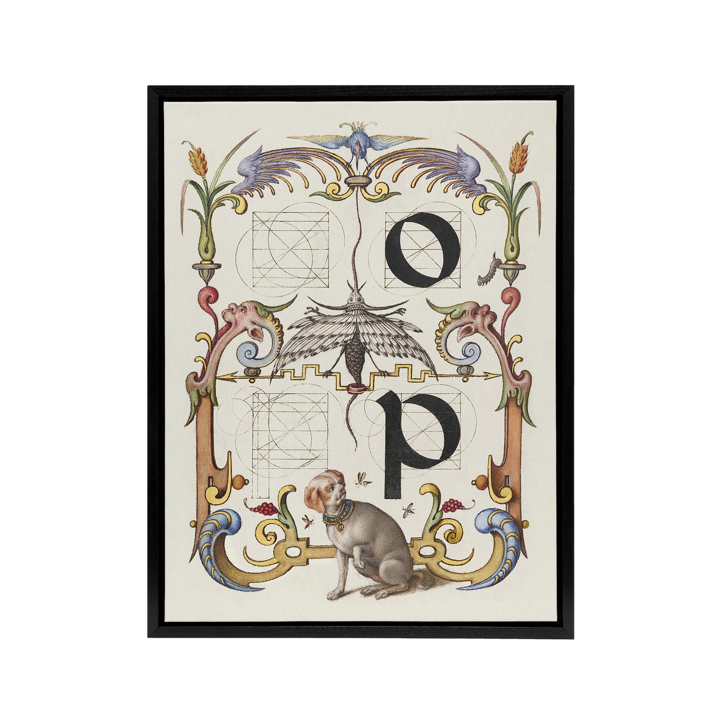 Pictorial Letter Guide O And P Calligraphy Framed Canvas Wall Art Print