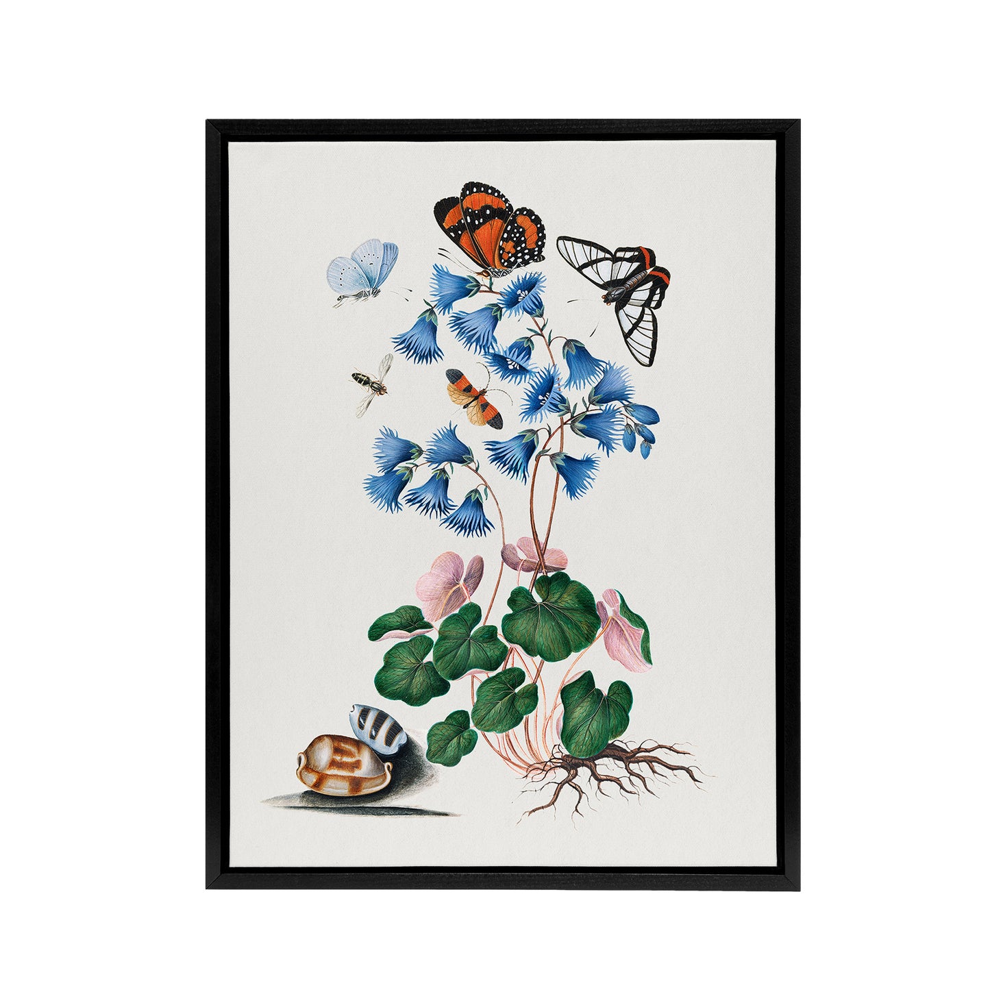 Soldanella Flower and Butterflies Bolton Black Framed Canvas Wall Art