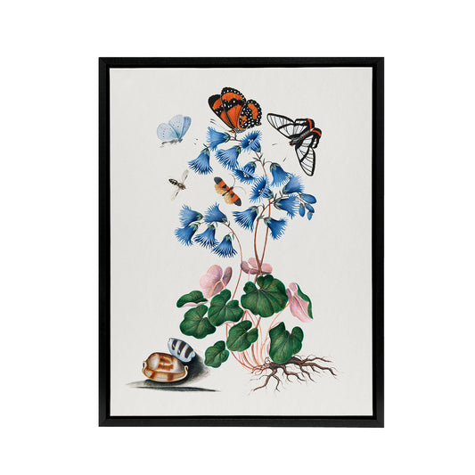 Soldanella Flower and Butterflies Bolton Black Framed Canvas Wall Art