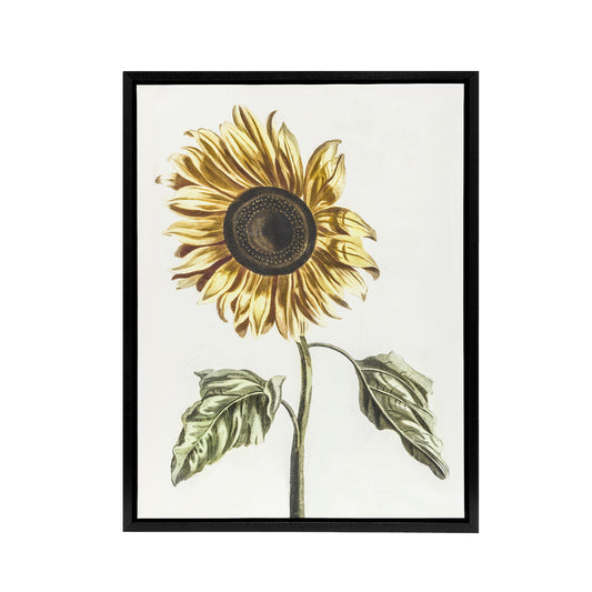 Sunflower Vintage Flower Painting Teyler Black Framed Canvas Wall Art