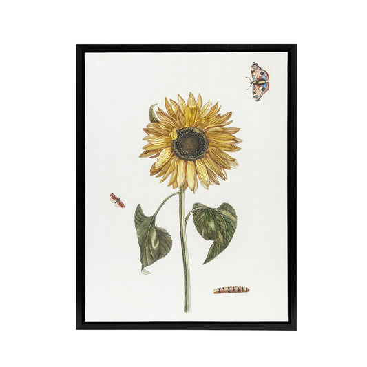 Sunflower Caterpillar And Two Butterflies Teyler Framed Canvas Wall Art