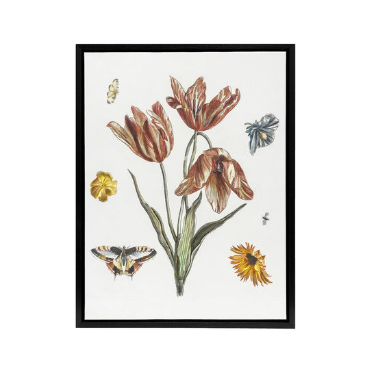 Flowers Butterflies And A Fly Johan Teyler Black Framed Canvas Wall Art