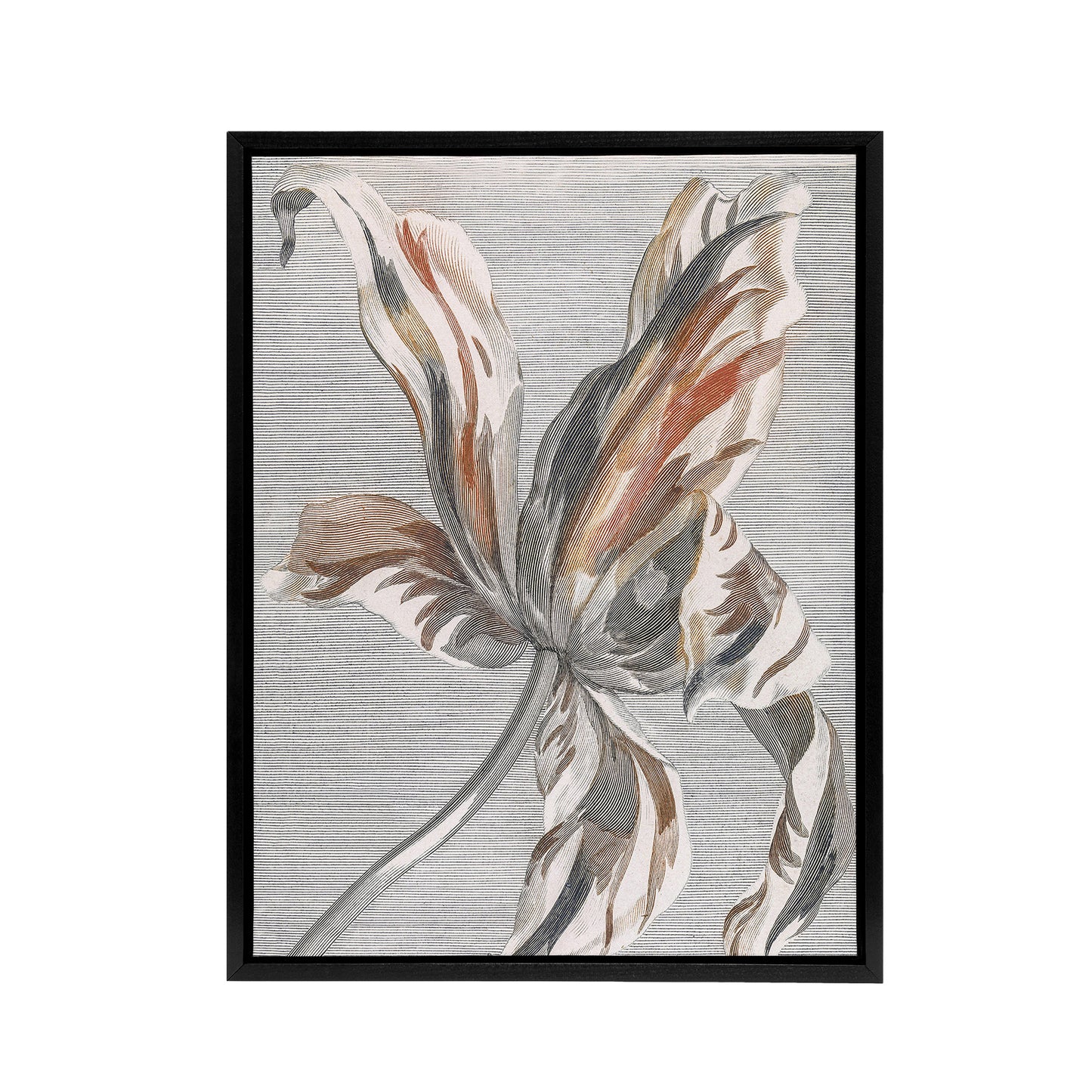 Tulip Flower Bloom Floral Painting Teyler Black Framed Canvas Wall Art