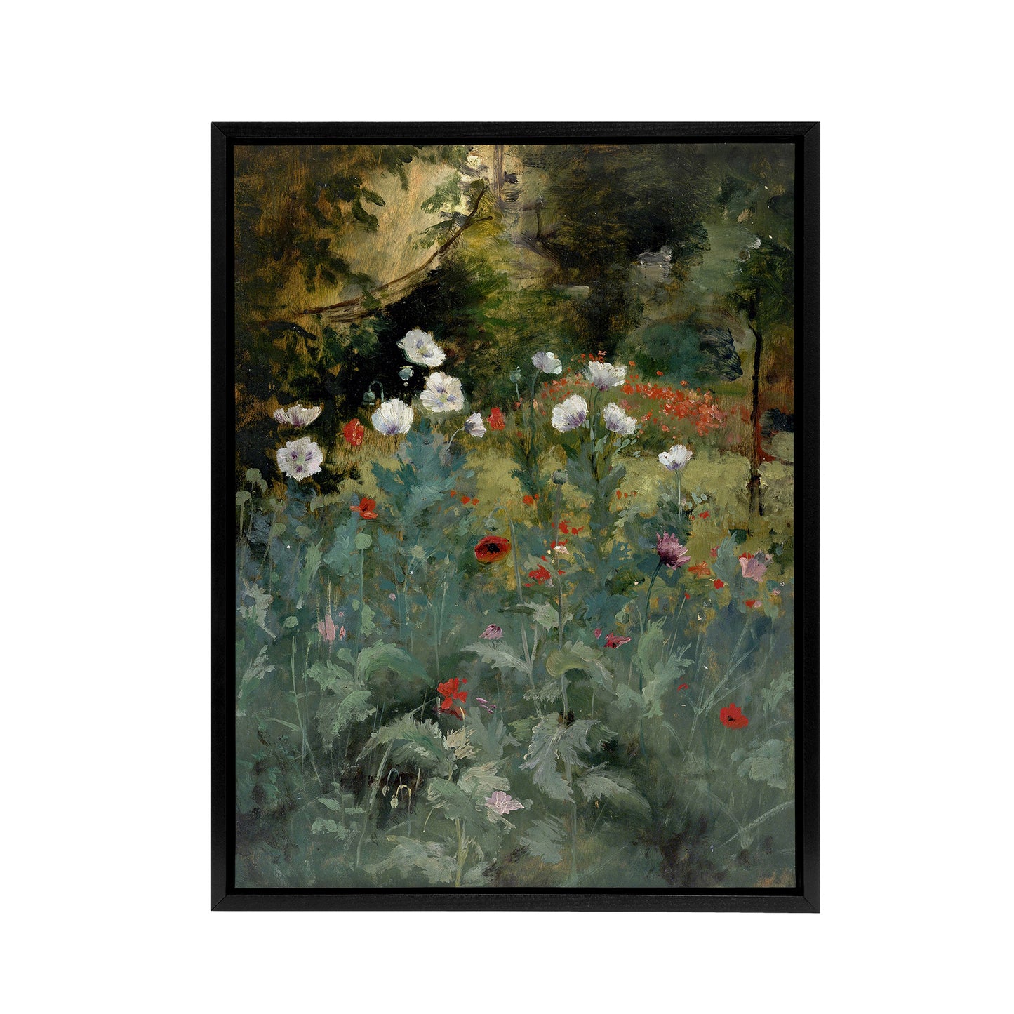Eliphalet Andrews Poppies Wildflower Painting Black Framed Canvas Art Print
