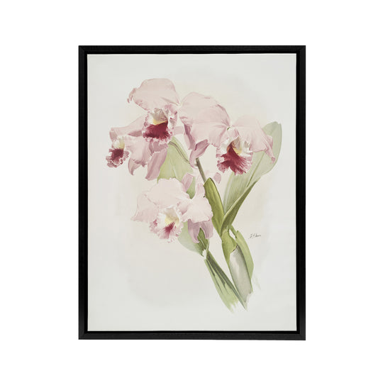 Frederick Sander Cattleya labiata Orchid Flowers Black Framed Canvas Art Print