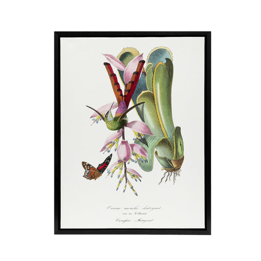 Paul Gervais Hummingbird Butterfly and Flower Black Framed Canvas Art Print