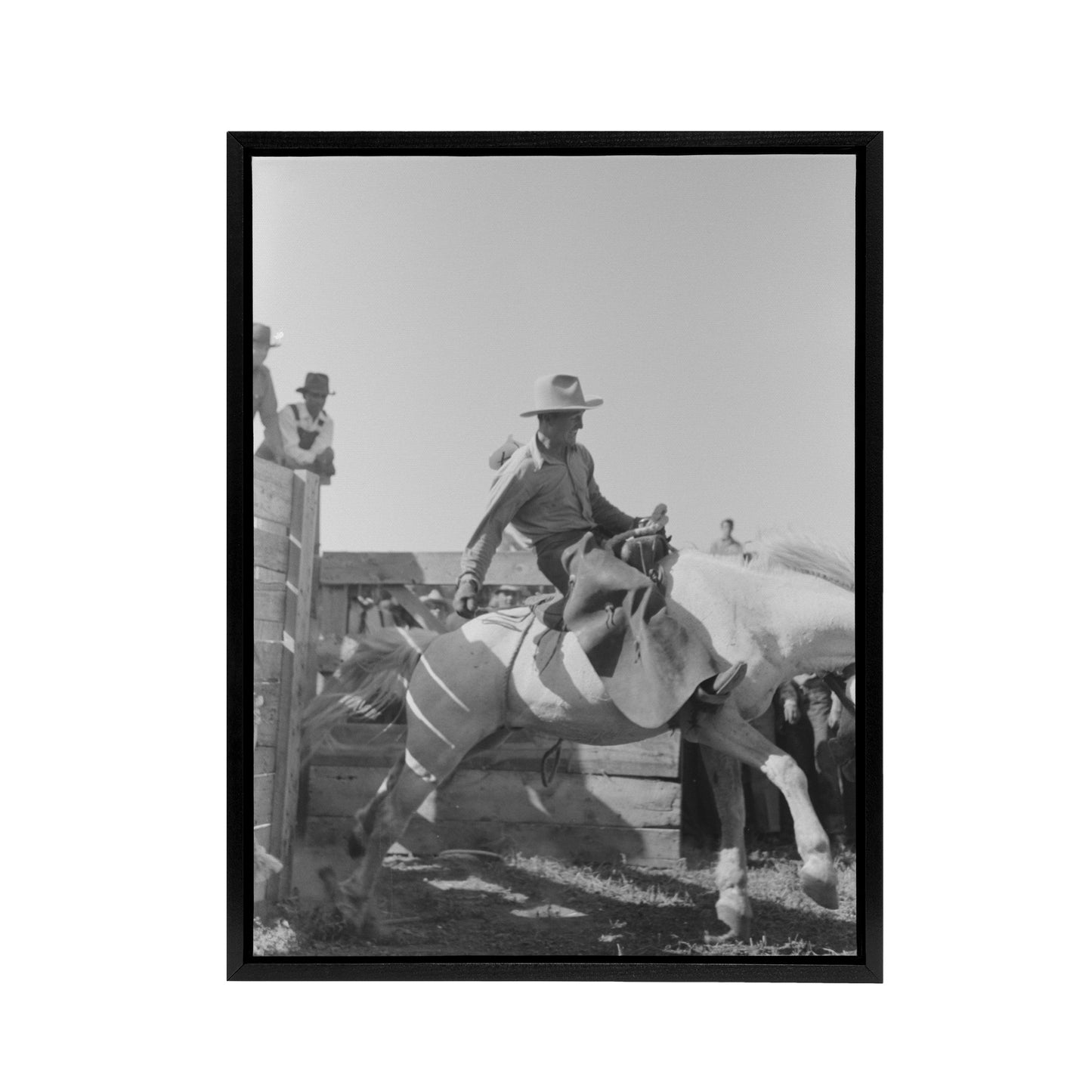Russell Lee Cowboy at Bean Day Rodeo Action Shot Black Framed Canvas Art Print