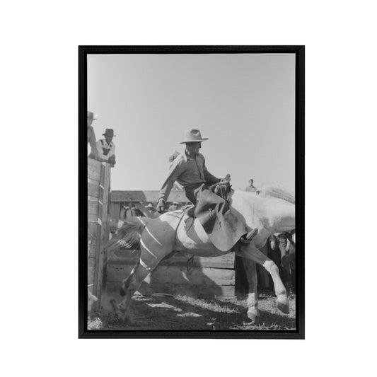 Russell Lee Cowboy at Bean Day Rodeo Action Shot Black Framed Canvas Art Print