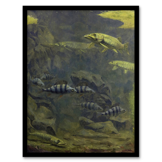 Gerrit Willem Dijsselhof Framed Wall Art Pike and Perch in Aquarium Home Décor