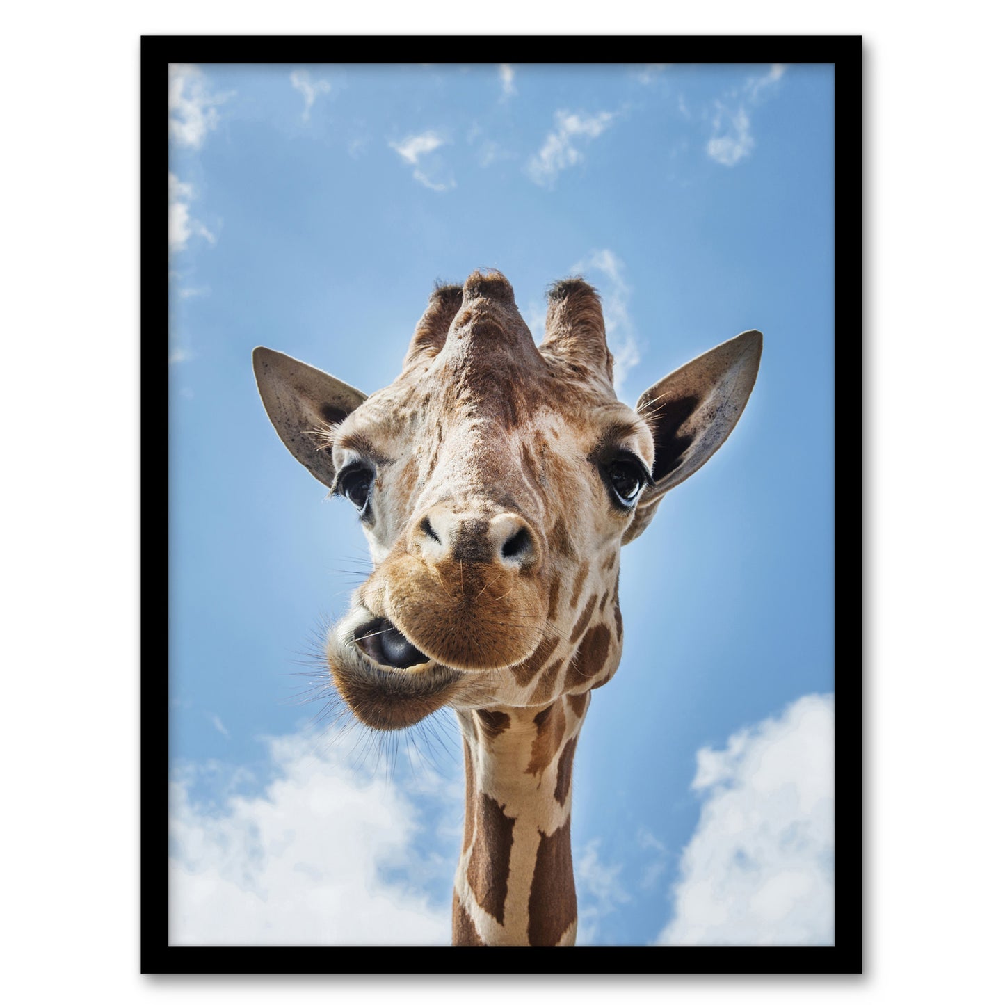 Carol M Highsmith Funny Up Close Look At A Giraffe Framed Wall Art Print