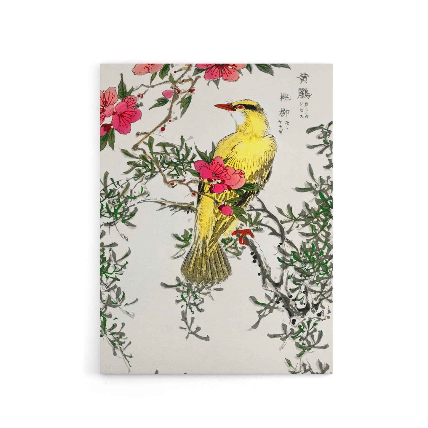 Bush Warbler and Drooping Peach Tree Canvas Wall Art Print Kashu