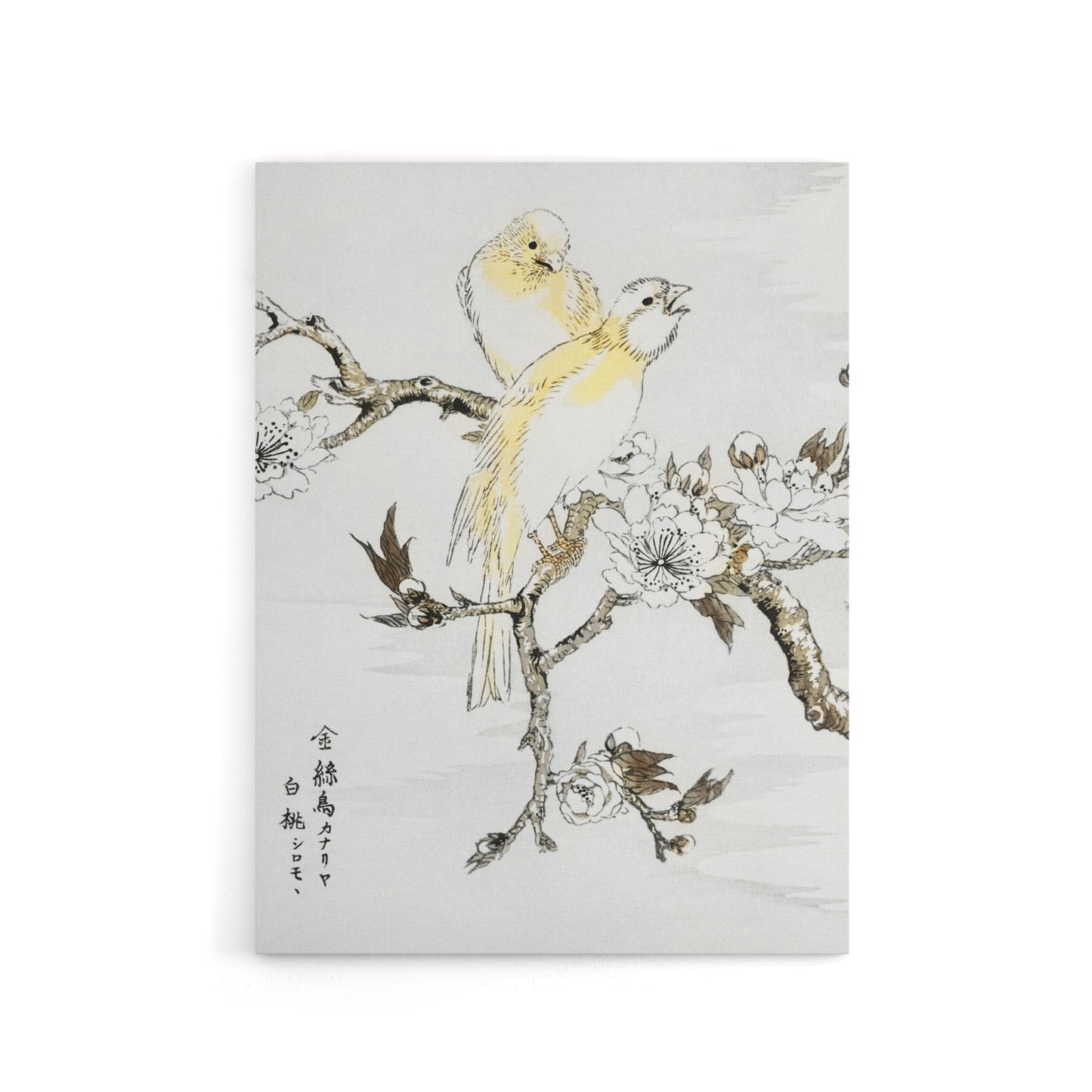 Canary Peach Tree Flowers Japanese Canvas Wall Art Print Kashu