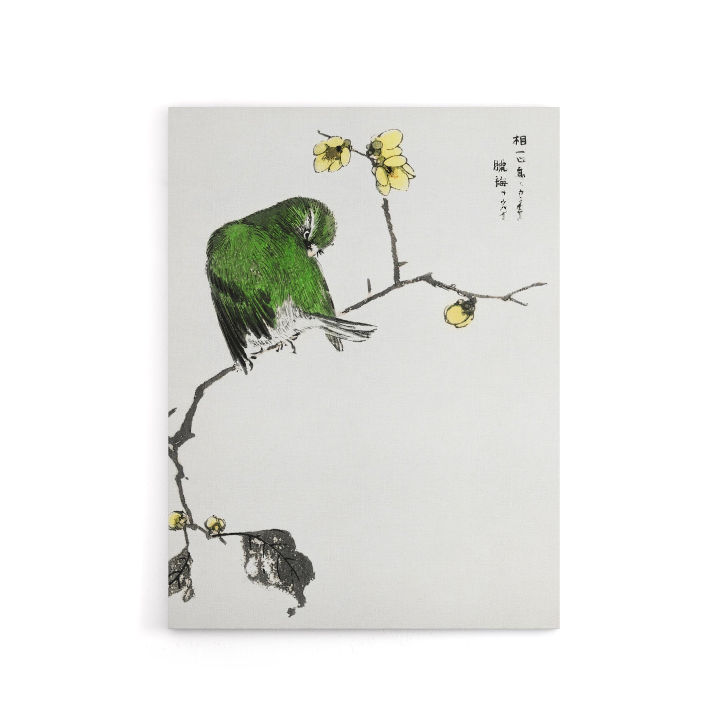 Fairy Pitta and Japanese Allspice Canvas Wall Art Print Kashu