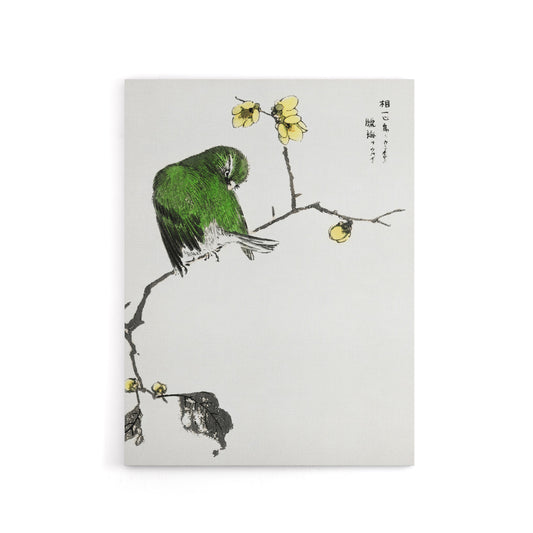 Fairy Pitta and Japanese Allspice Canvas Wall Art Print Kashu