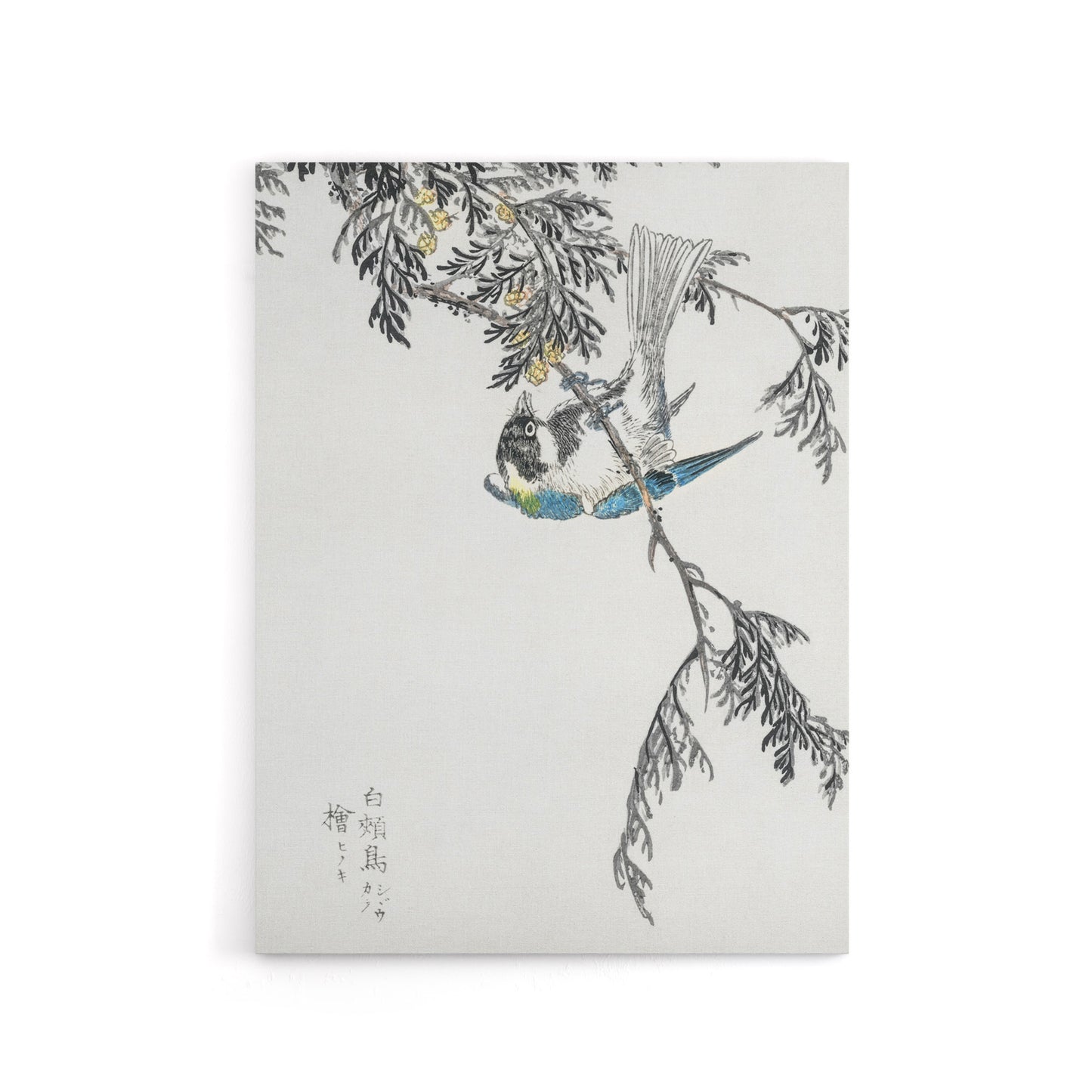 Great Tit and Cypress Japanese Canvas Wall Art Print Kashu