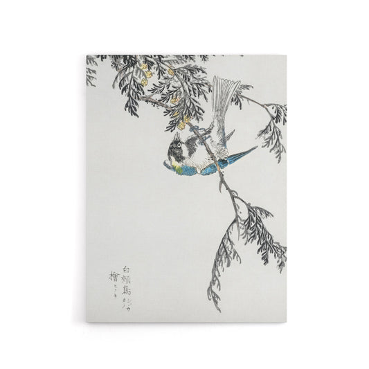 Great Tit and Cypress Japanese Canvas Wall Art Print Kashu