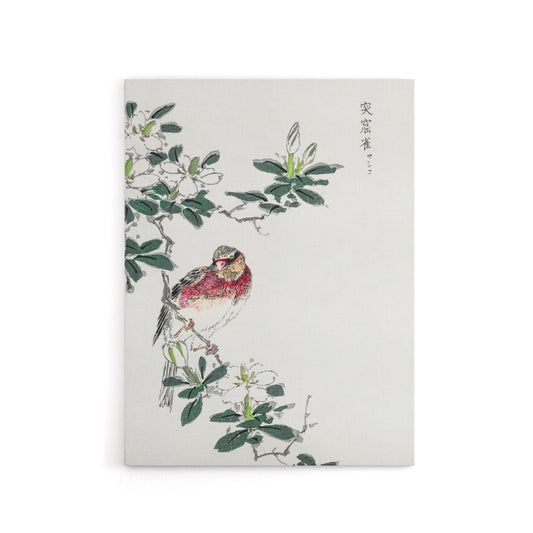 Long Tailed Rosefinch Japanese Canvas Wall Art Print Numata Kashu