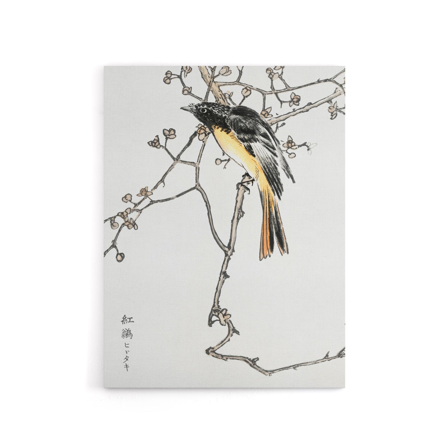 Siberian Blue Tail Bird Japanese Canvas Wall Art Print Kashu