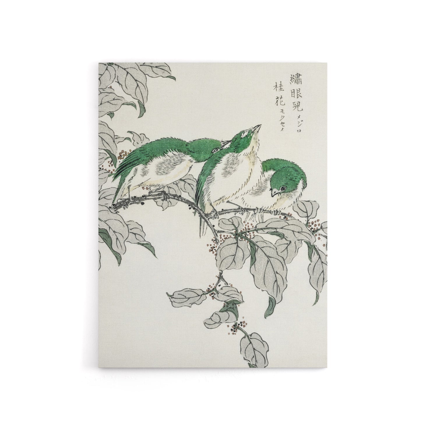 White Eye and Osmanthus Japanese Canvas Wall Art Print Kashu