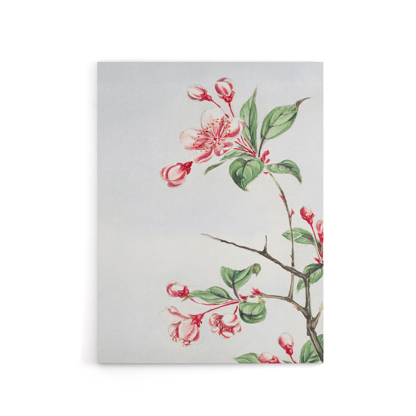 Kaido Crabapple Flower Bloom Canvas Wall Art Print Japanese