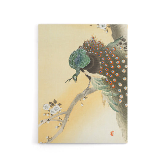 Peacock On A Cherry Blossom Tree Canvas Wall Art Print Koson