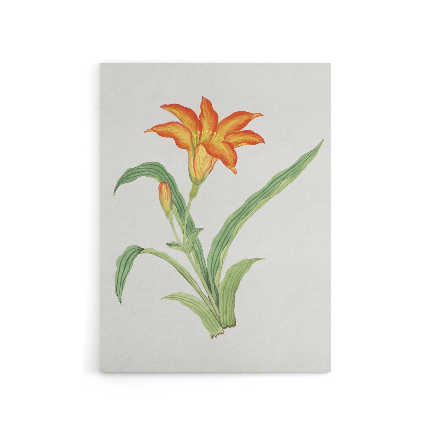Orange Lily Flower Canvas Wall Art Print Vintage Japan Botanical