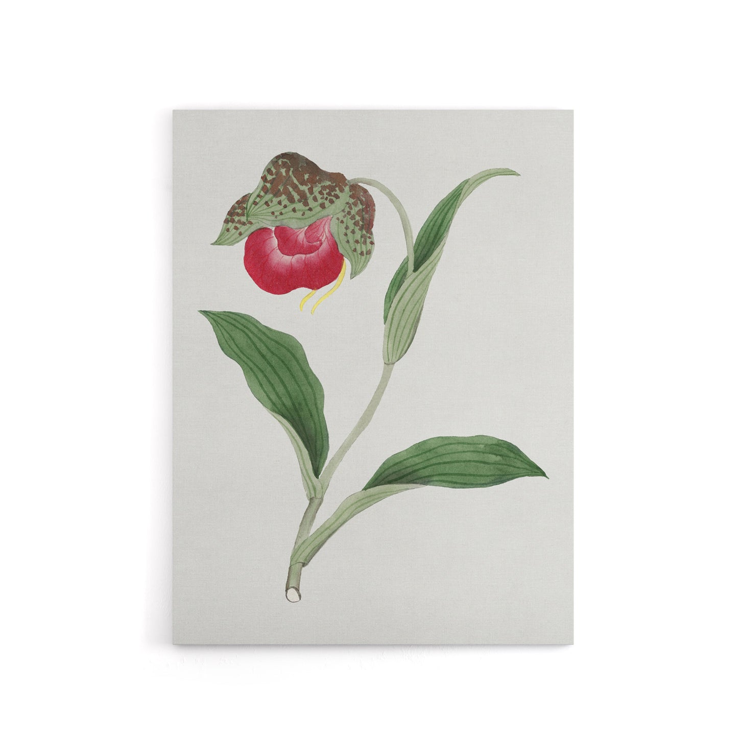 Orchid Flower Canvas Wall Art Print Vintage Japanese Botanical