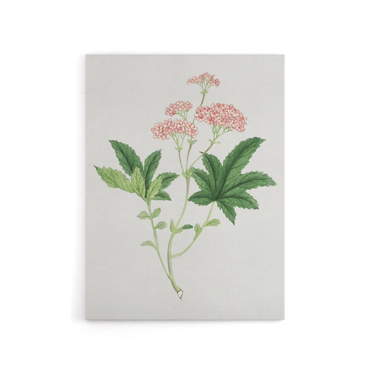 Shimotsuke Flower Canvas Wall Art Print Vintage Japan Botanical