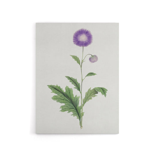 Thistle Flower Canvas Wall Art Print Vintage Japanese Botanical