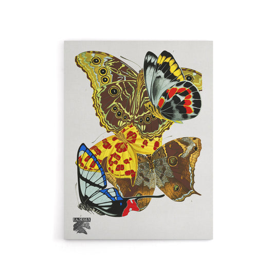Papillons Bright Vintage Butterflies Canvas Wall Art Print Seguy