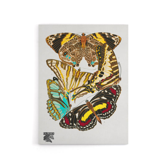 Papillons Butterflies Vintage Canvas Wall Art Print Eugene Seguy
