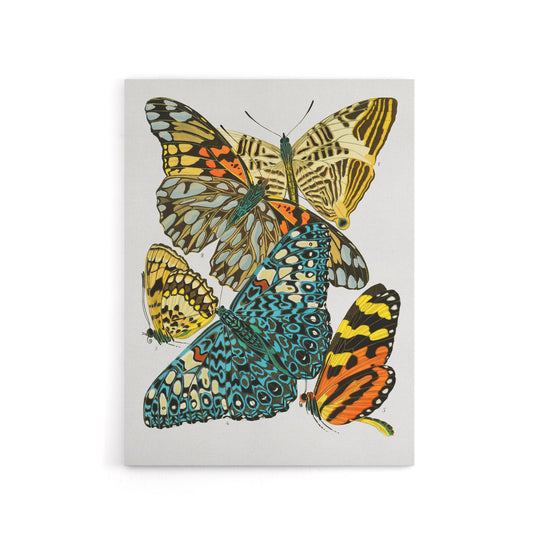 Vintage Butterflies Blue Yellow Canvas Wall Art Print Seguy
