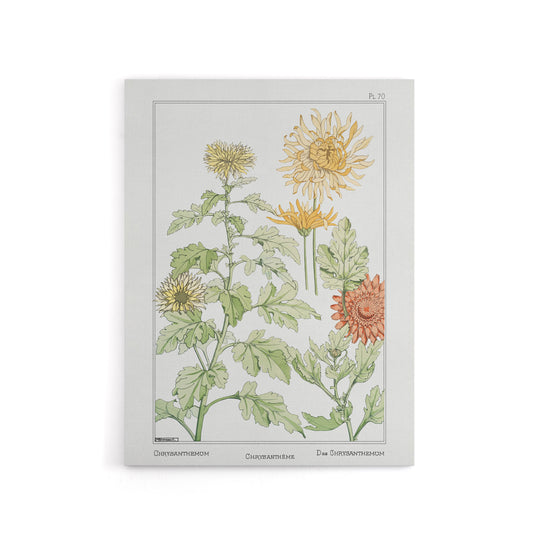 Chrysanthemum Canvas Wall Art Print Vintage Floral Verneuil