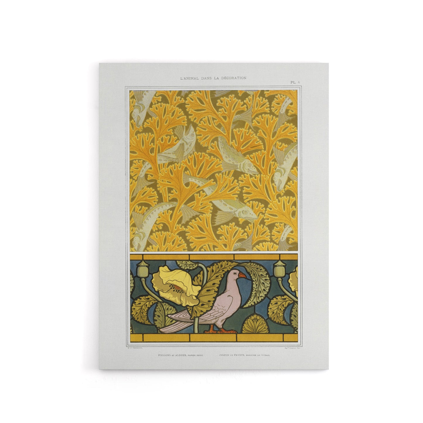 Poppy Pigeon Coral Fish Patterns Canvas Wall Art Print Verneuil