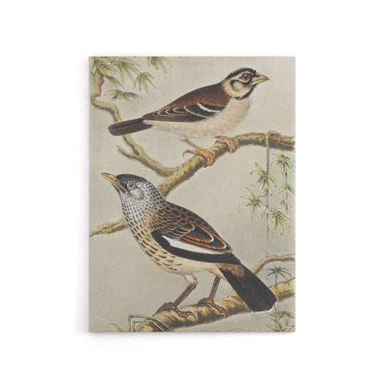 Two Birds on Tree Branches Canvas Wall Art Print van Hoytema