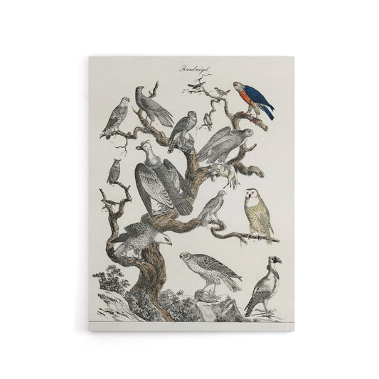 Birds Eagle Hawk Owl on Tree Vintage Nature Canvas Wall Art