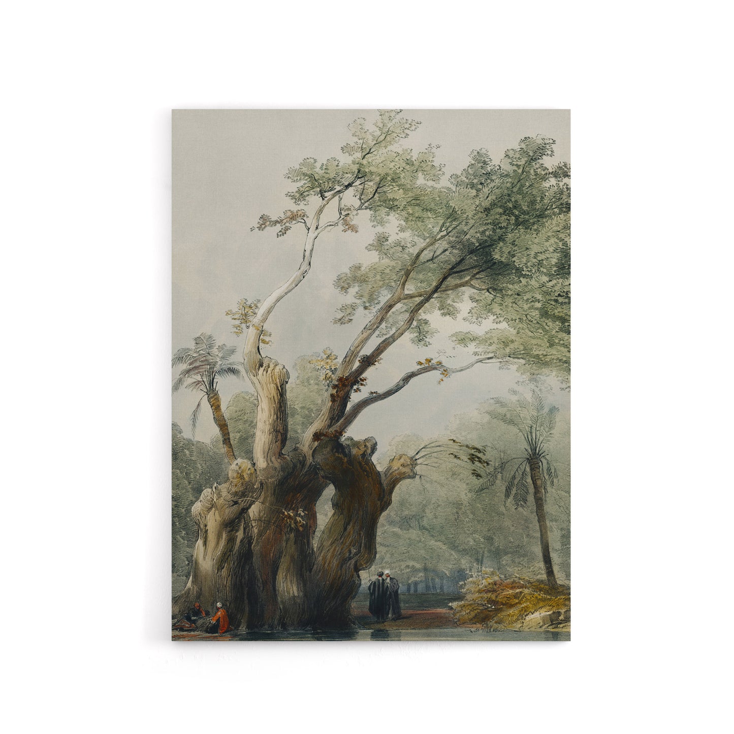 The Holy Tree of Metereah D. Roberts Vintage Canvas Wall Art