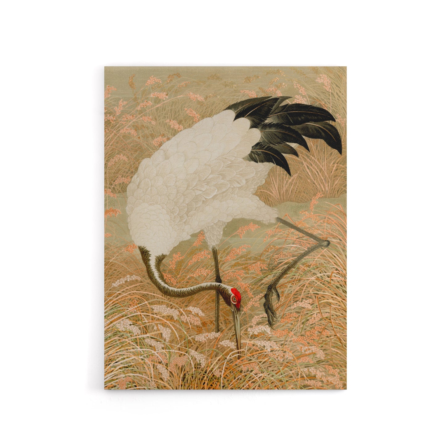 Sarus Crane Foraging in Rice Field Audsley Canvas Wall Art
