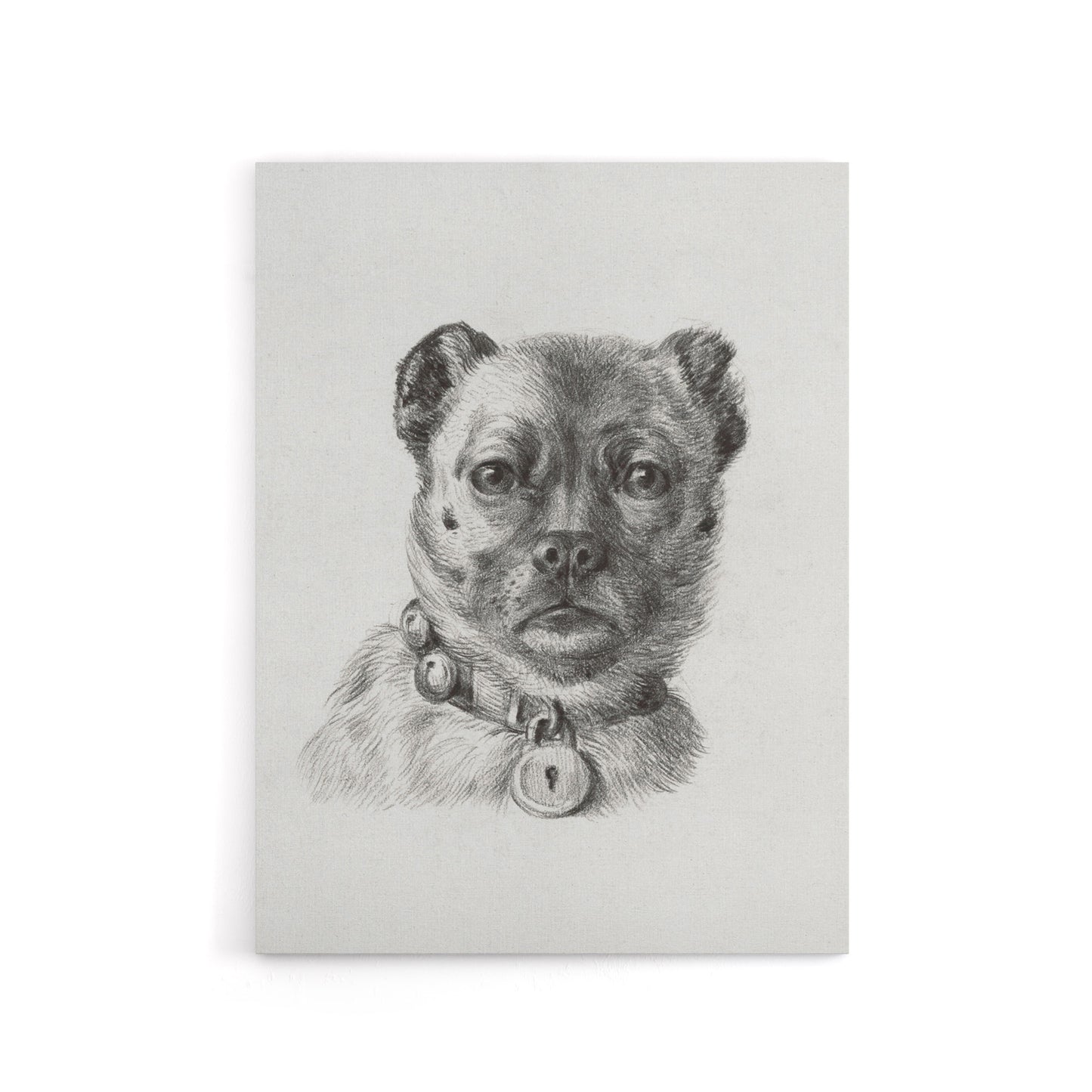 Dog head with a Collar Pencil Drawing Bernard Canvas Wall Art