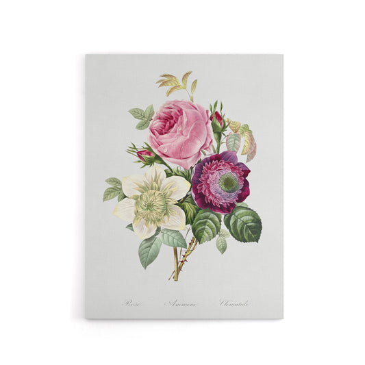 Anemone and Cabbage Rose Flower Redoute Vintage Canvas Wall Art