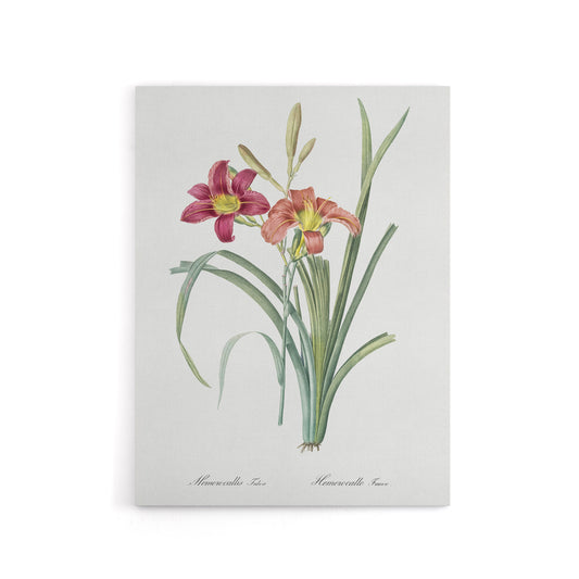 Orange Daylily Floral Redoute Vintage Canvas Wall Art