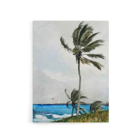 Palm Tree in Nassau Landscape Winslow Homer Canvas Wall Art Print