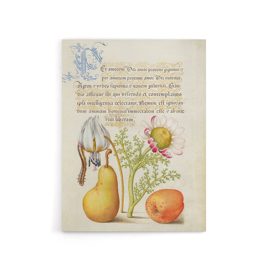 Caterpillar Flowers and Fruit Calligraphy Canvas Wall Art Print